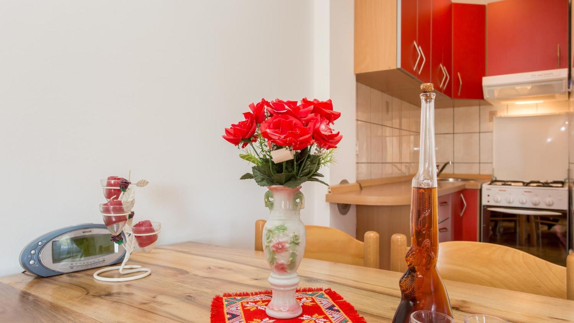 Apartment Branko Šilo Oda fotoğraf